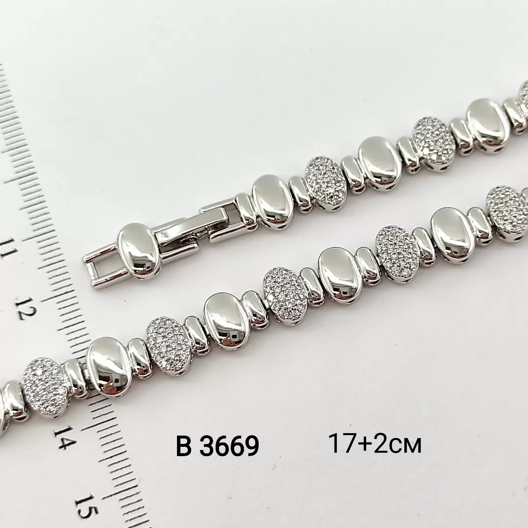 B 3669