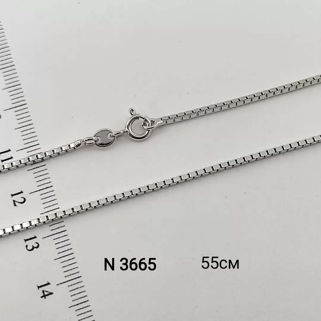 N 3665