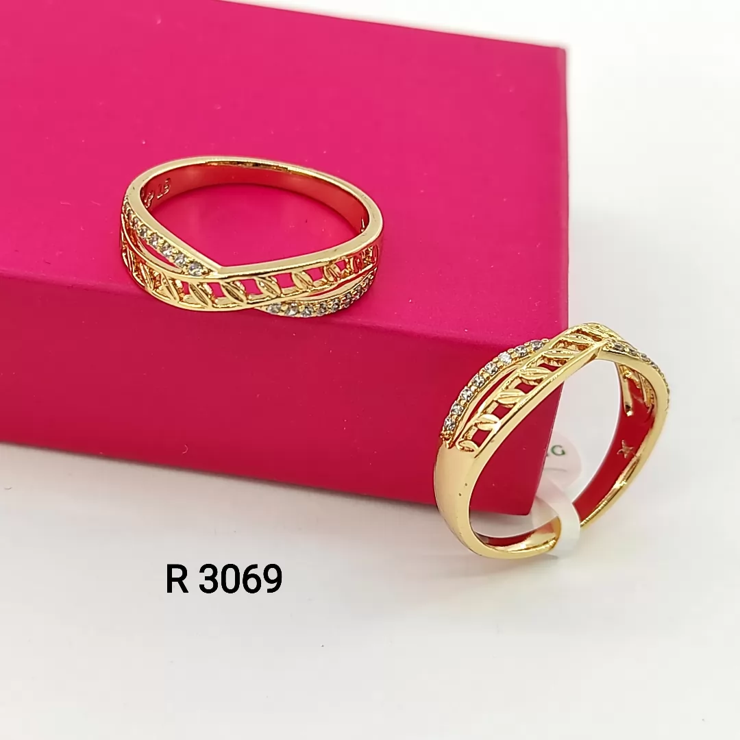 R 3069
