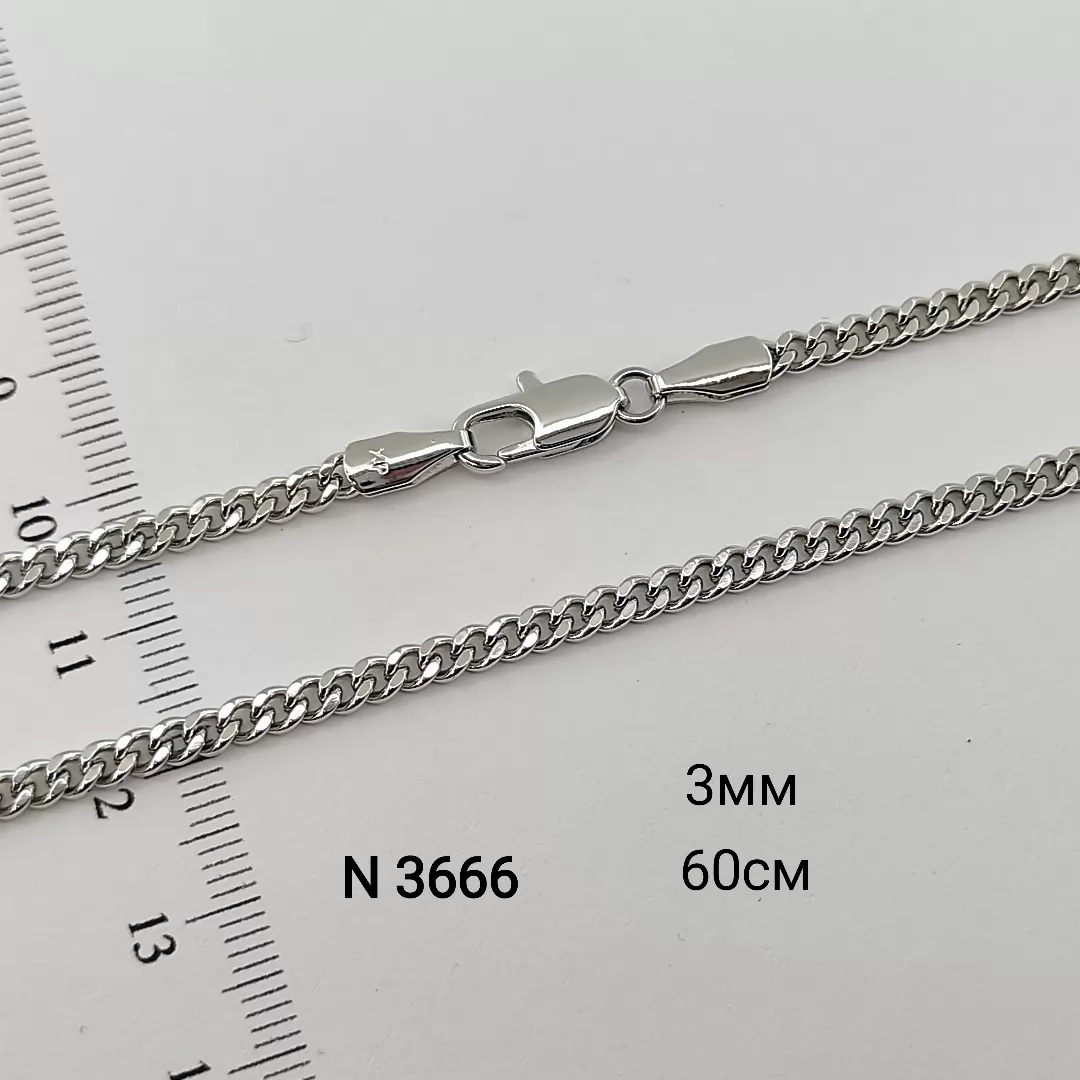 N 3666