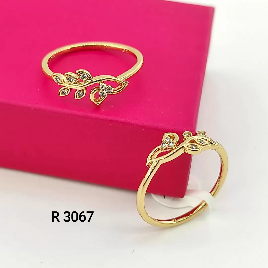 R 3067