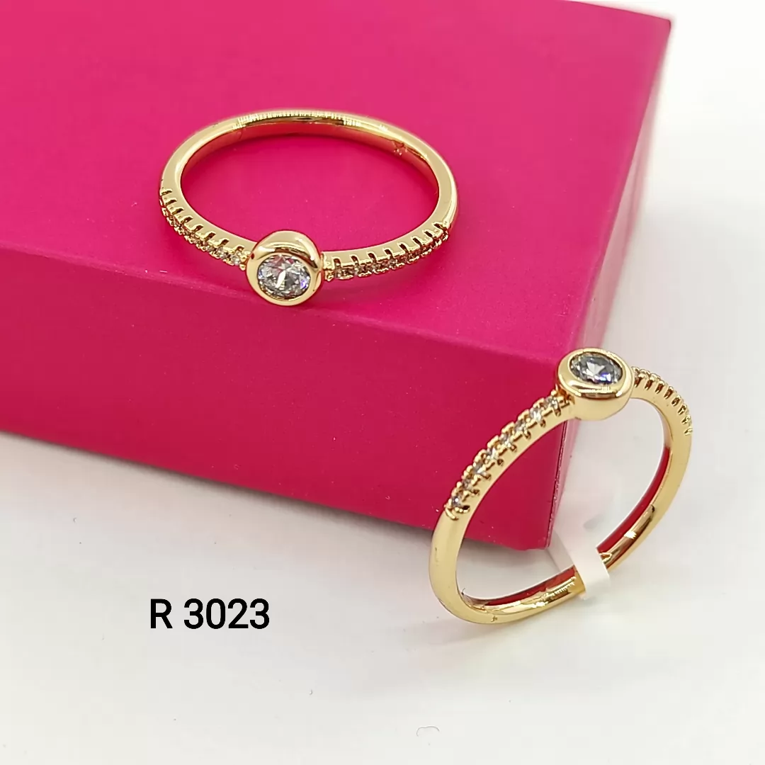 R 3023