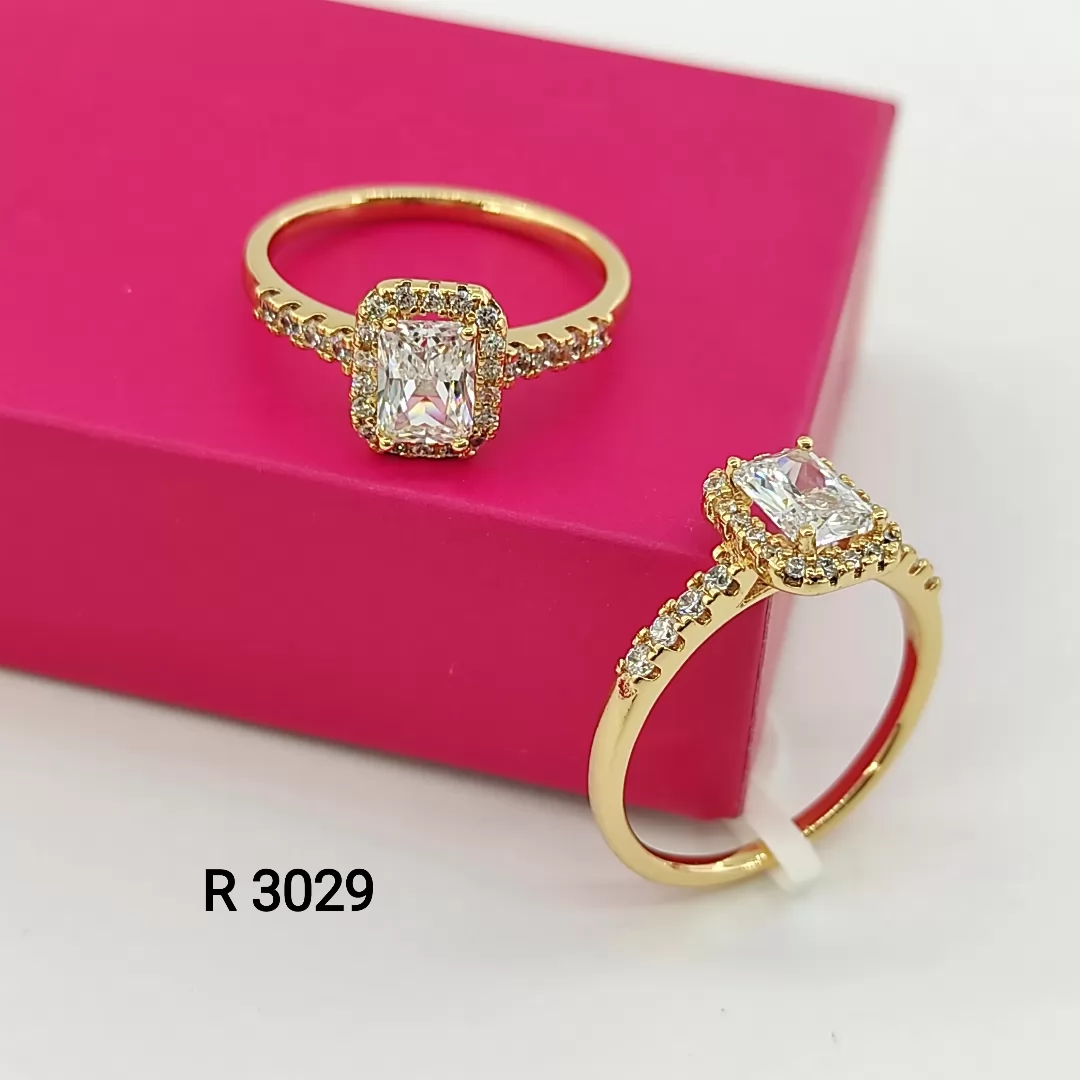 R 3029