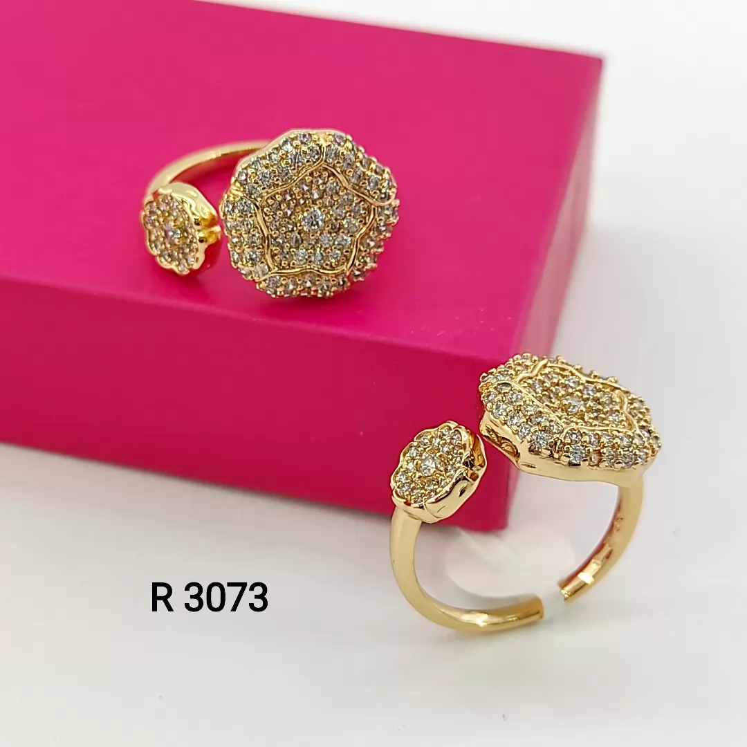 R 3073