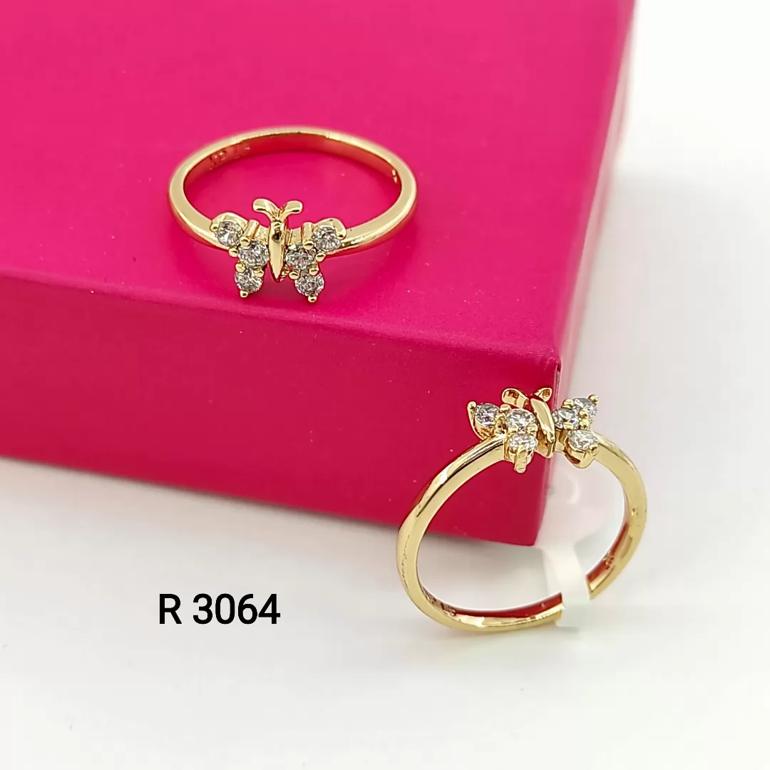R 3064