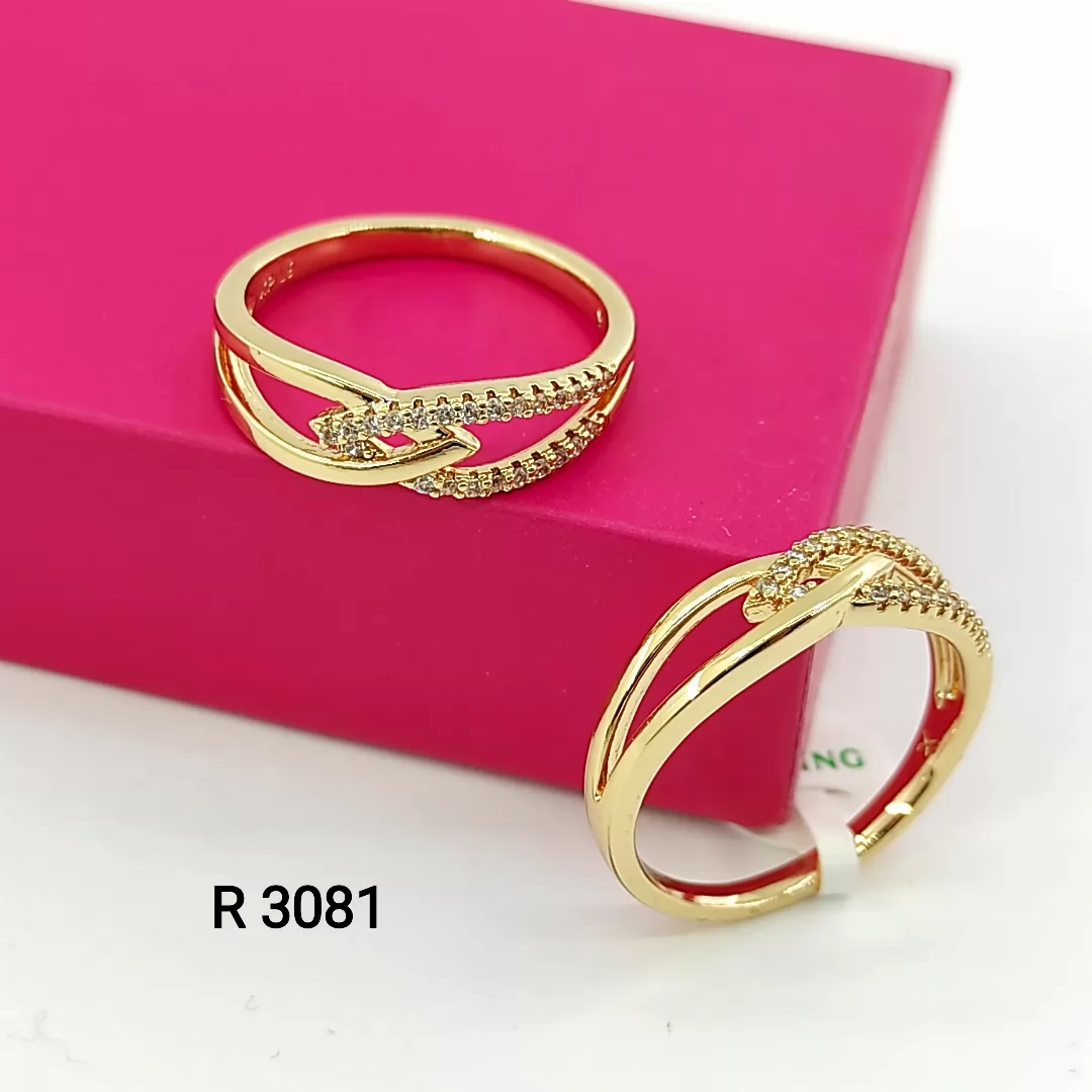 R 3081