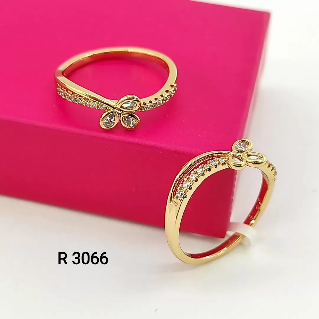 R 3066