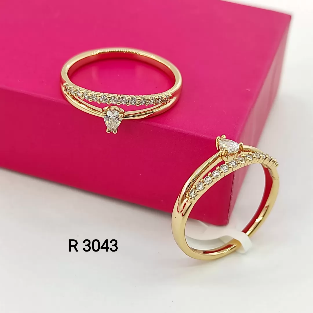 R 3043