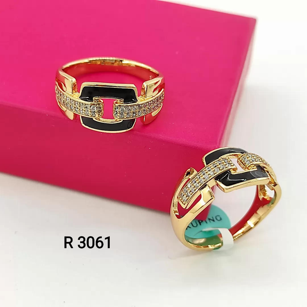 R 3061