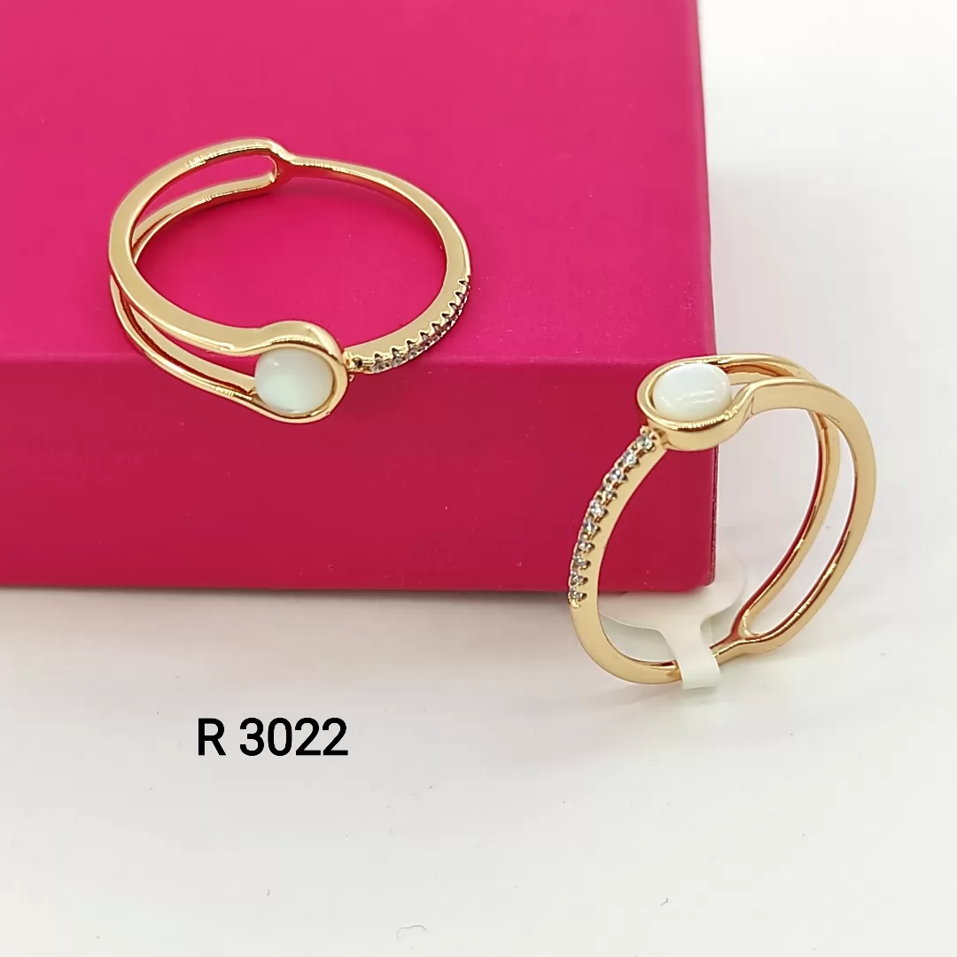 R 3022
